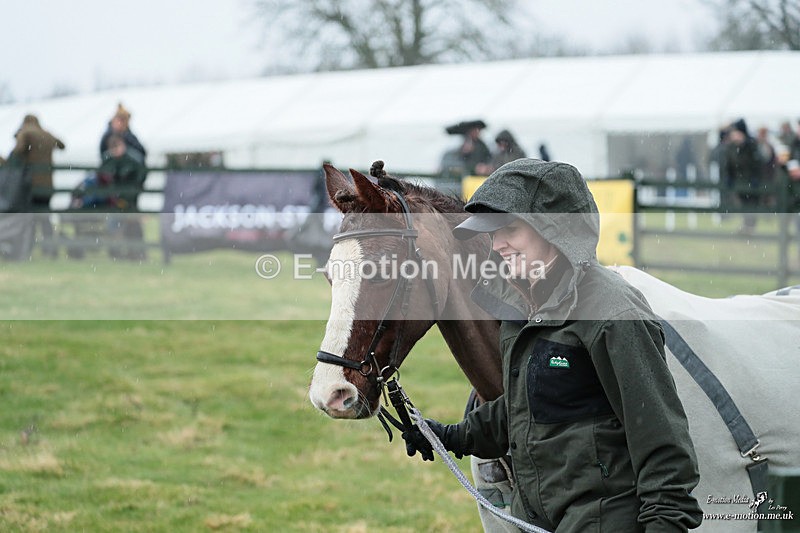 PtP 100324 7 - Pytchley with Woodland Point-to-Point Guilsborough 10/03/24