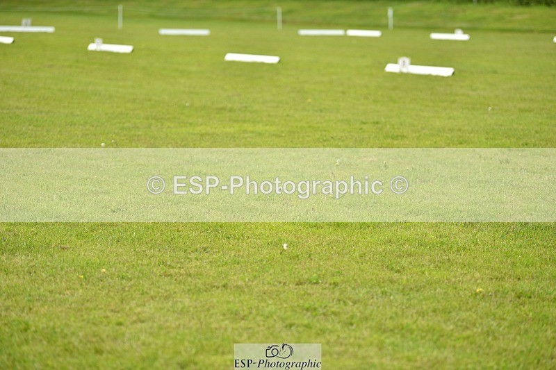 240523B-135246-02446 - 5 Year Old