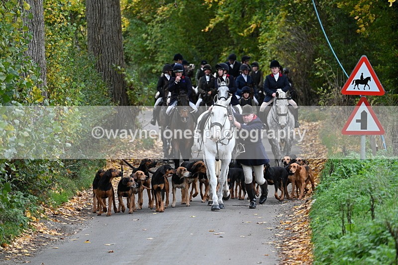 WJ7_7124 - Walk Home..