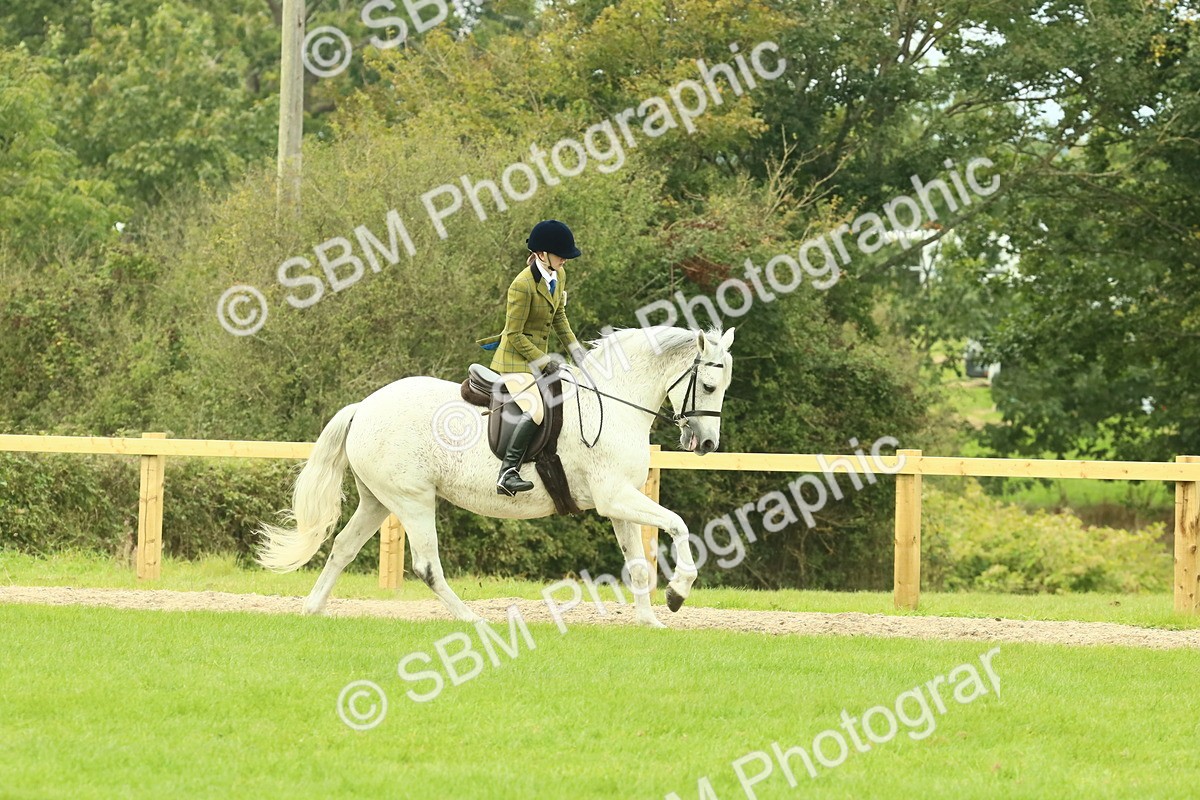 SBM_71892 - S60 - Mountain & Moorland Ridden Large Breeds