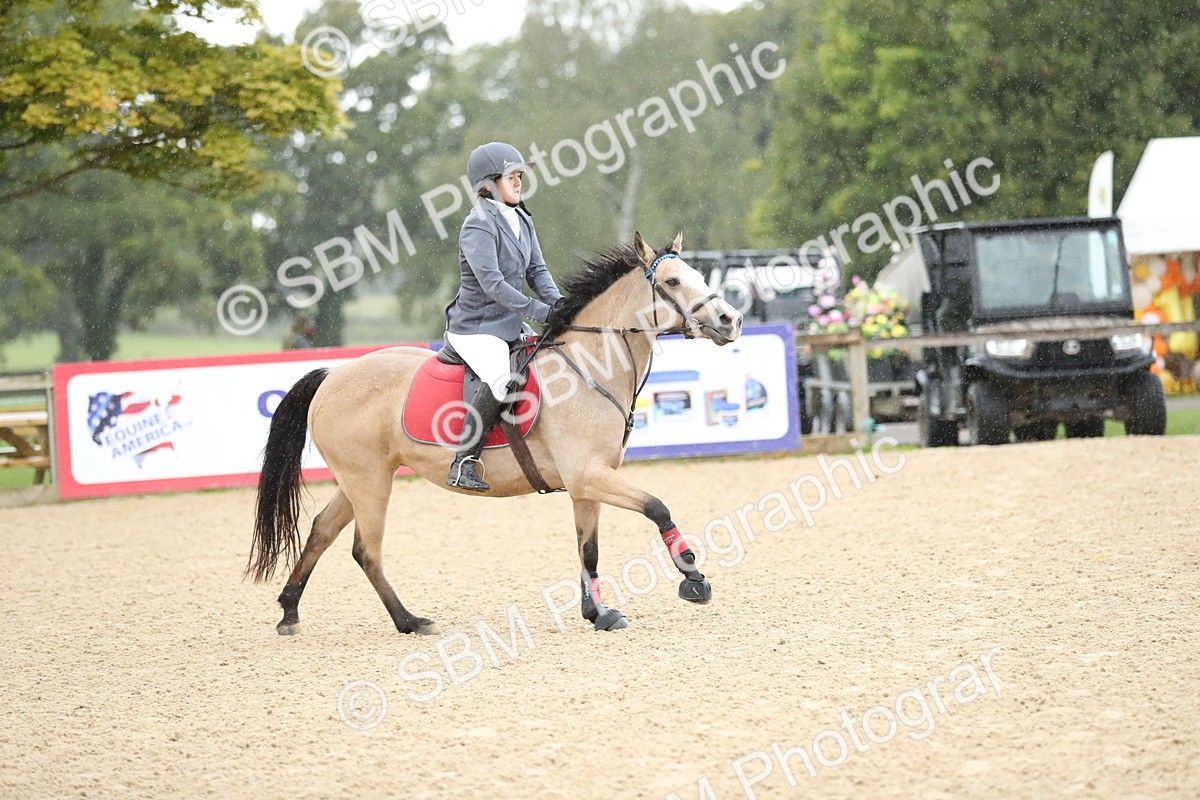 SBM_00986 - J27 - Senior Horse & Pony 50cm Championships