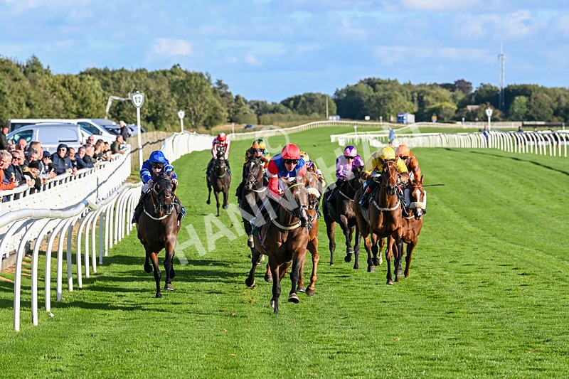 100924-Race 7-Desert Dream-0689 - Race 7