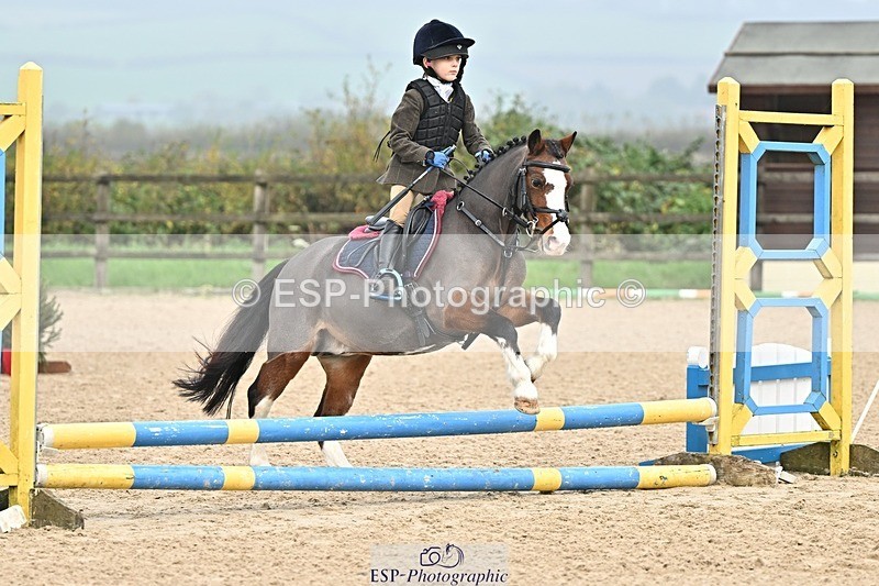 241110-102808-00308 - 40cm Showjumping