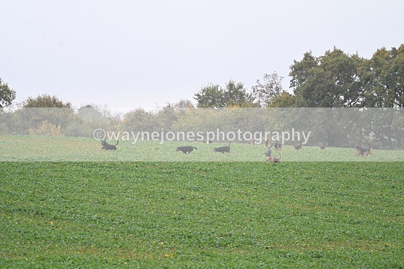 WJ7_8870 - Camera 1 only on this line