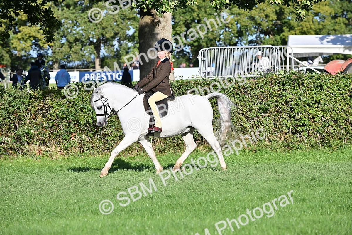 SBM_53015 - S23 - First Ridden Mountain & Moorland Pony