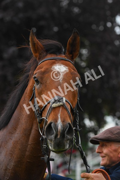 190523-Race 7-Kuwait City-0997 - Race 7 5.15pm Irish Champions Festival Handicap