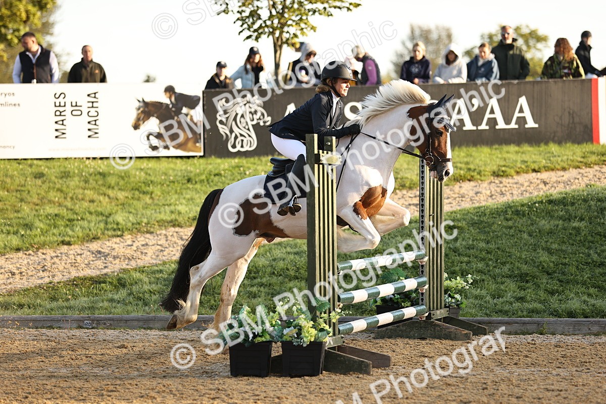 SBM_33021 - J38 - Senior 80cm Championship