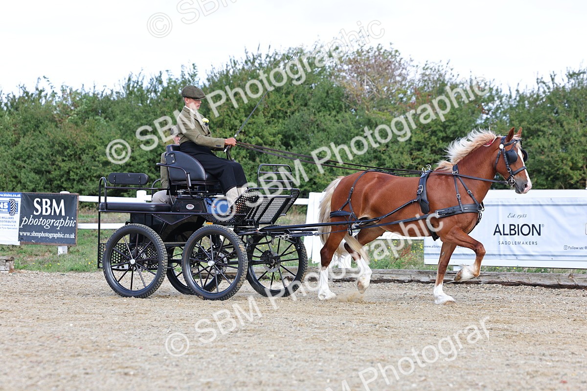 SBM_000826 - Class 6 - Exercise Vehicle 13.2 and over
