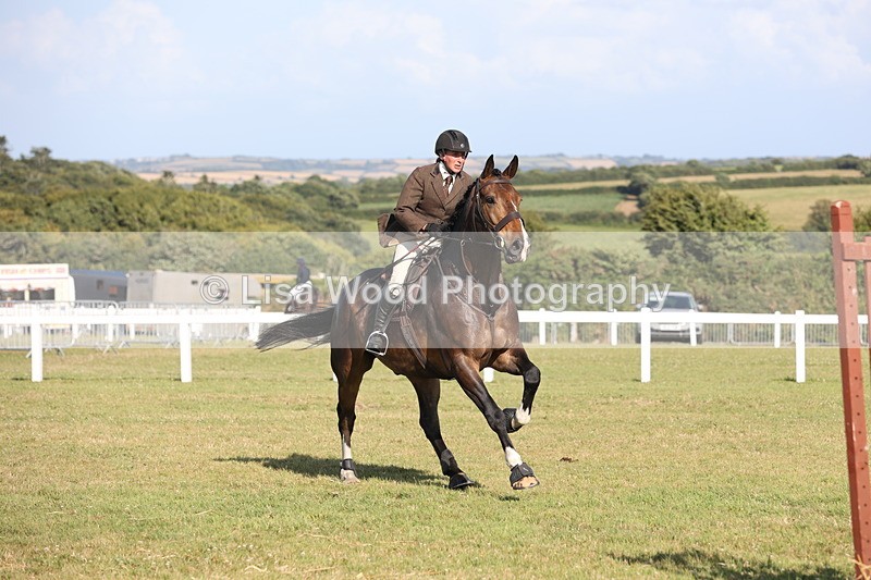 JPP_3093 - Class 21: Working Hunter 80cm