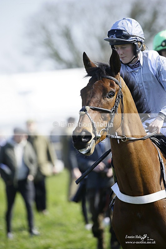 PtP 200322 105 - Mendip Farmers Point-to-Point 20/03/22
