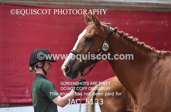 JAC_5133 - 9 Zinzipan