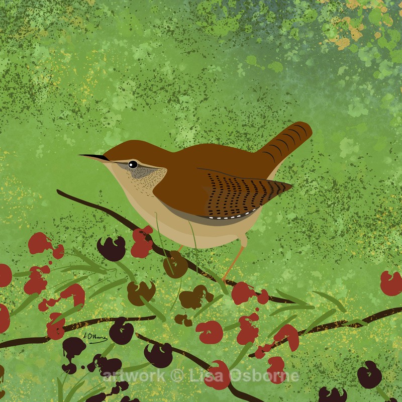 Wren - DIGITAL ARTWORK