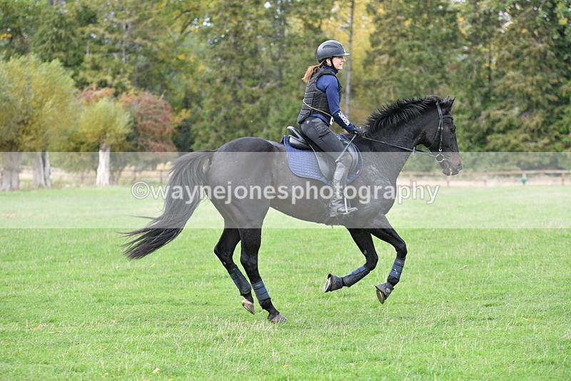 WJ5_0956 - Time 14:29 to 15:31