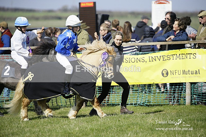 PtP 190322 108 - Wilton Hunt PtP Milborne St Andrew 19/03/22