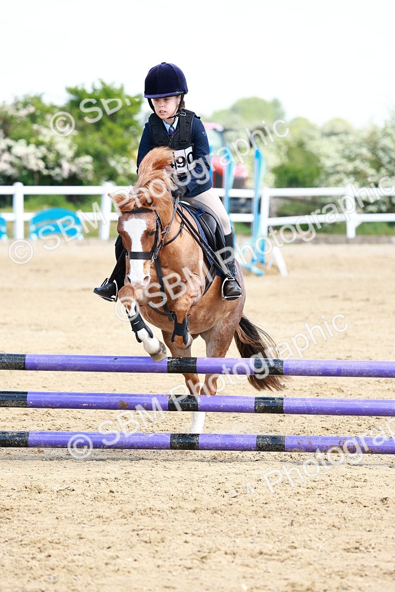 SBM_007733 - Class 3 - 60cm