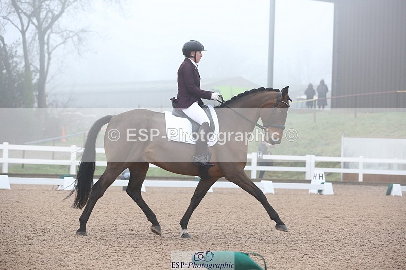 240217A-094136-00803 - 114-kelly.jewell-Juno.Watt