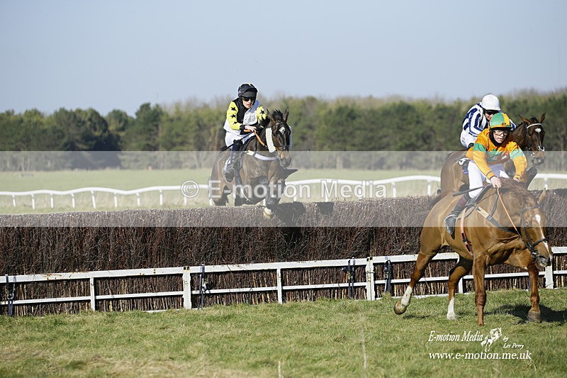 PtP 270222 86 - South & West Wilts Point-to-Point Larkhill 27/02/22