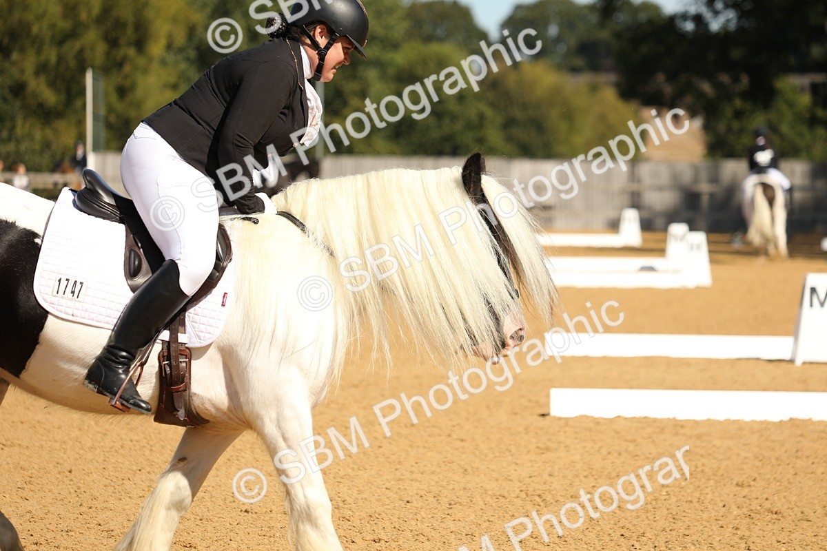 SBM_19644 - D10 - Small Tour Championship - Prelim 2