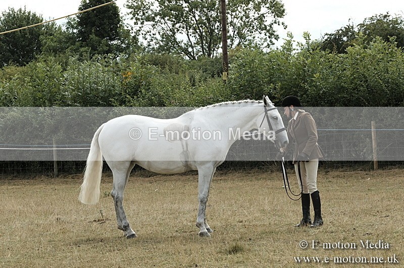 _PJP6029 - BVRC Show 2018 Ring 1