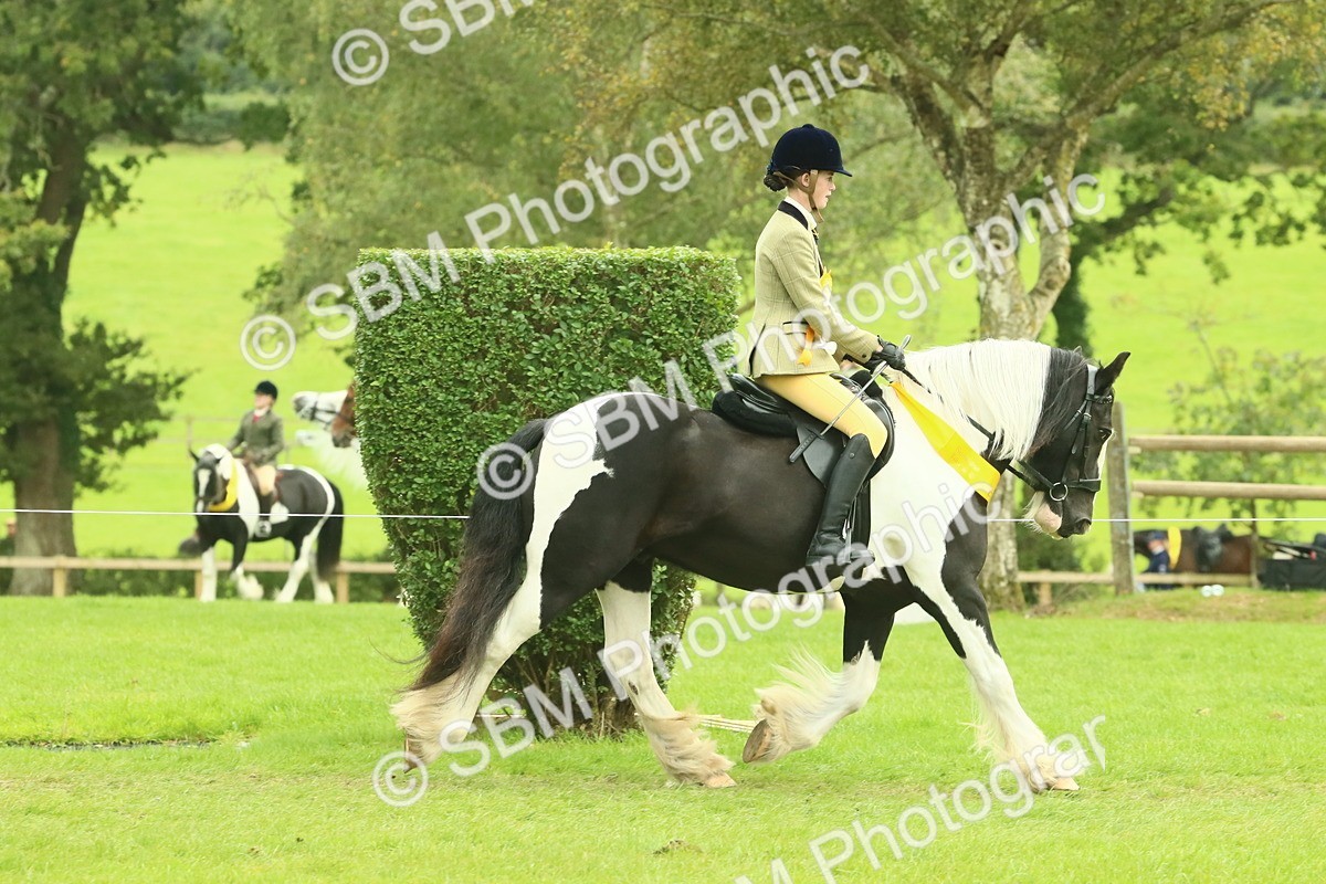 SBM_75006 - Ridden Pony Supreme Championship