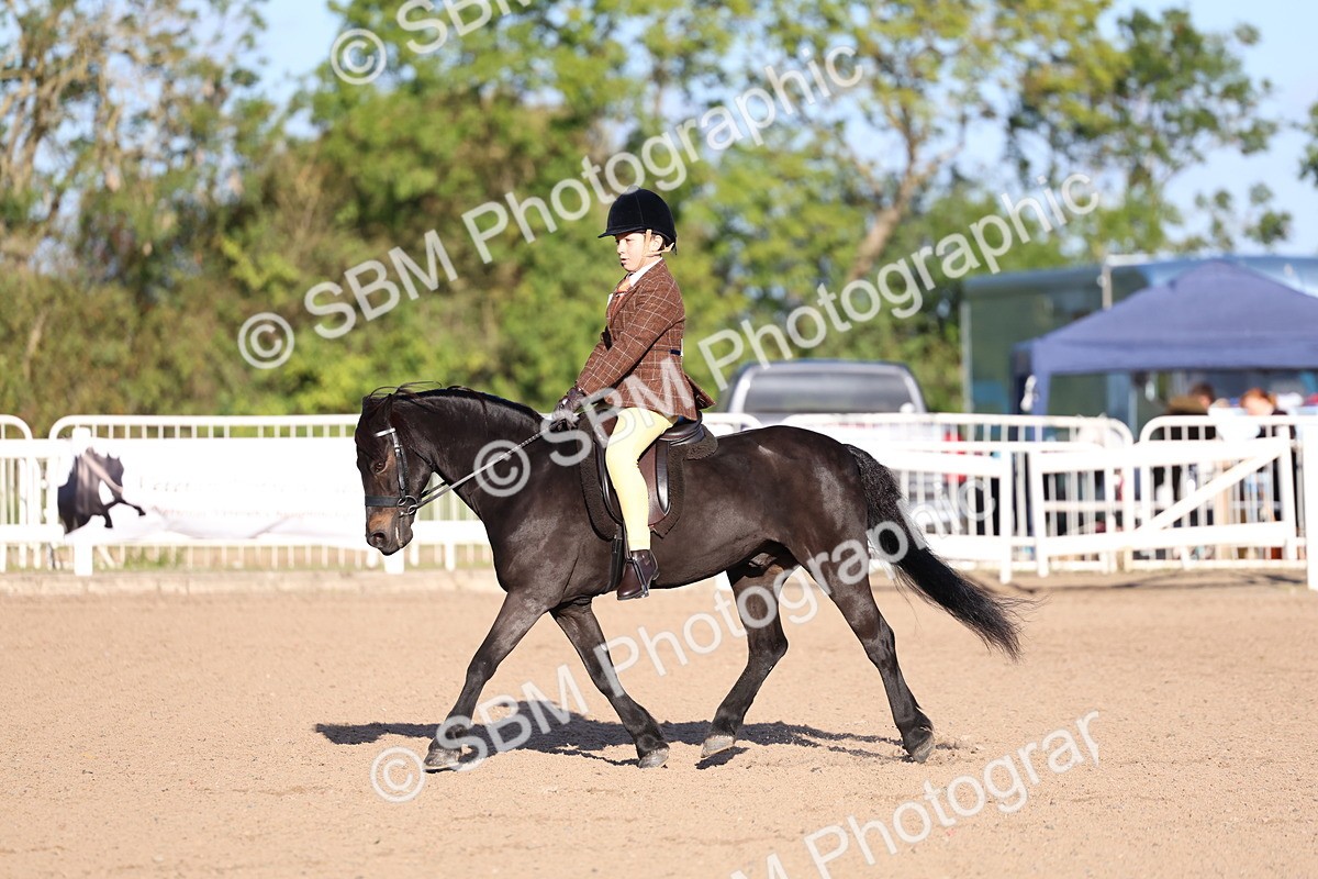 SBM_07813 - Class 301 - Ridden M&M - Small Breeds