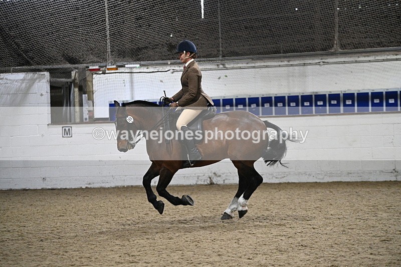 WJ7_4017 - Class 17 Ridden Cob