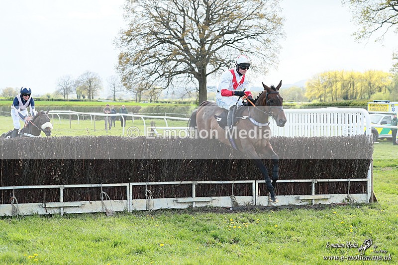 PtP 180426 1131 - Worcestershire Hunt PtP Chaddesley Corbett 18/04/26