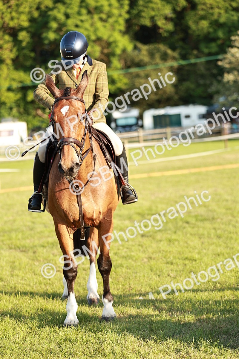 SBM_20568 - Class 117-119 - Sport Horse Working Hunter