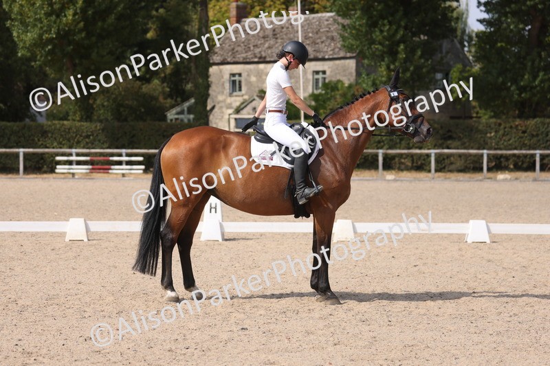 20260815-1092 - Class 6 - Novice 2