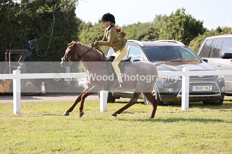 JPP_2965 - Class 20: Working Hunter 70cm