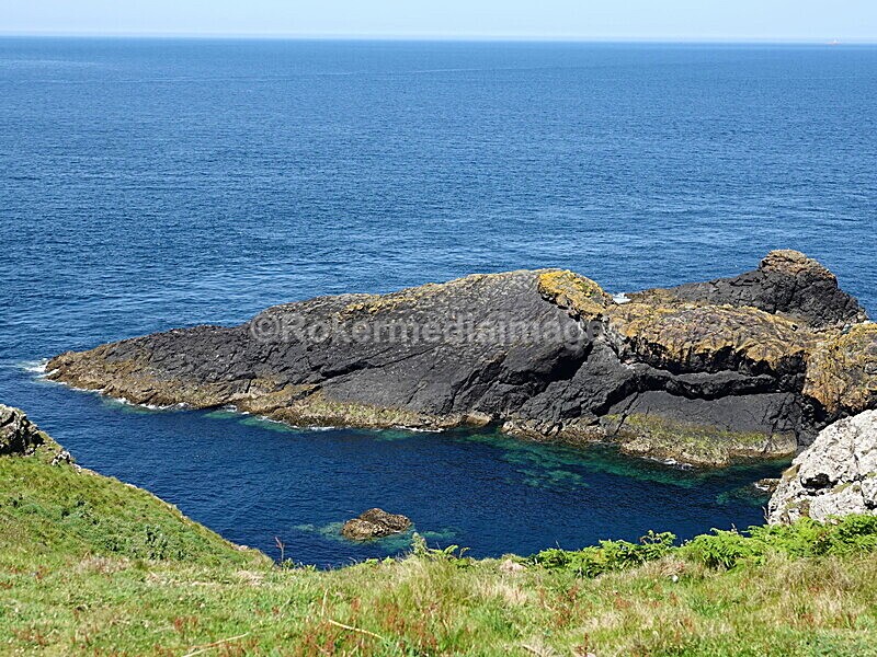 DSC00406 - Skomer 2019