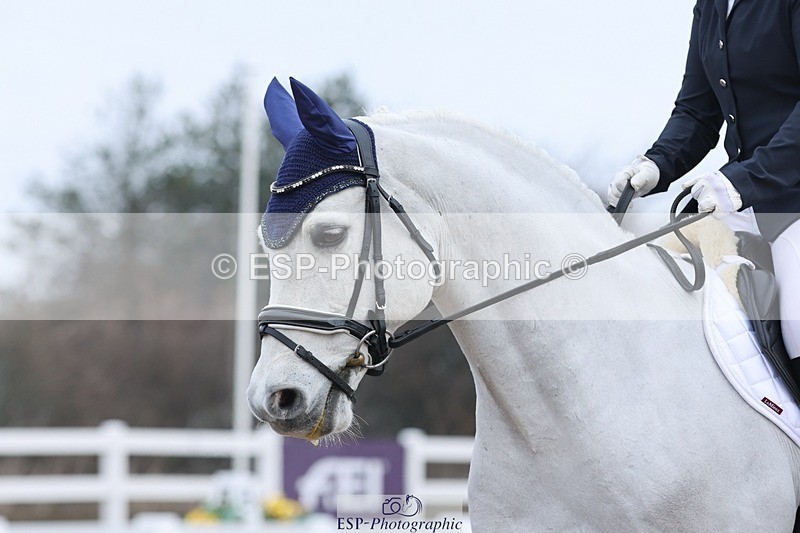 250216-093613-04761 - 144-Becky.Andrews-Tyan.talk.of.the.town