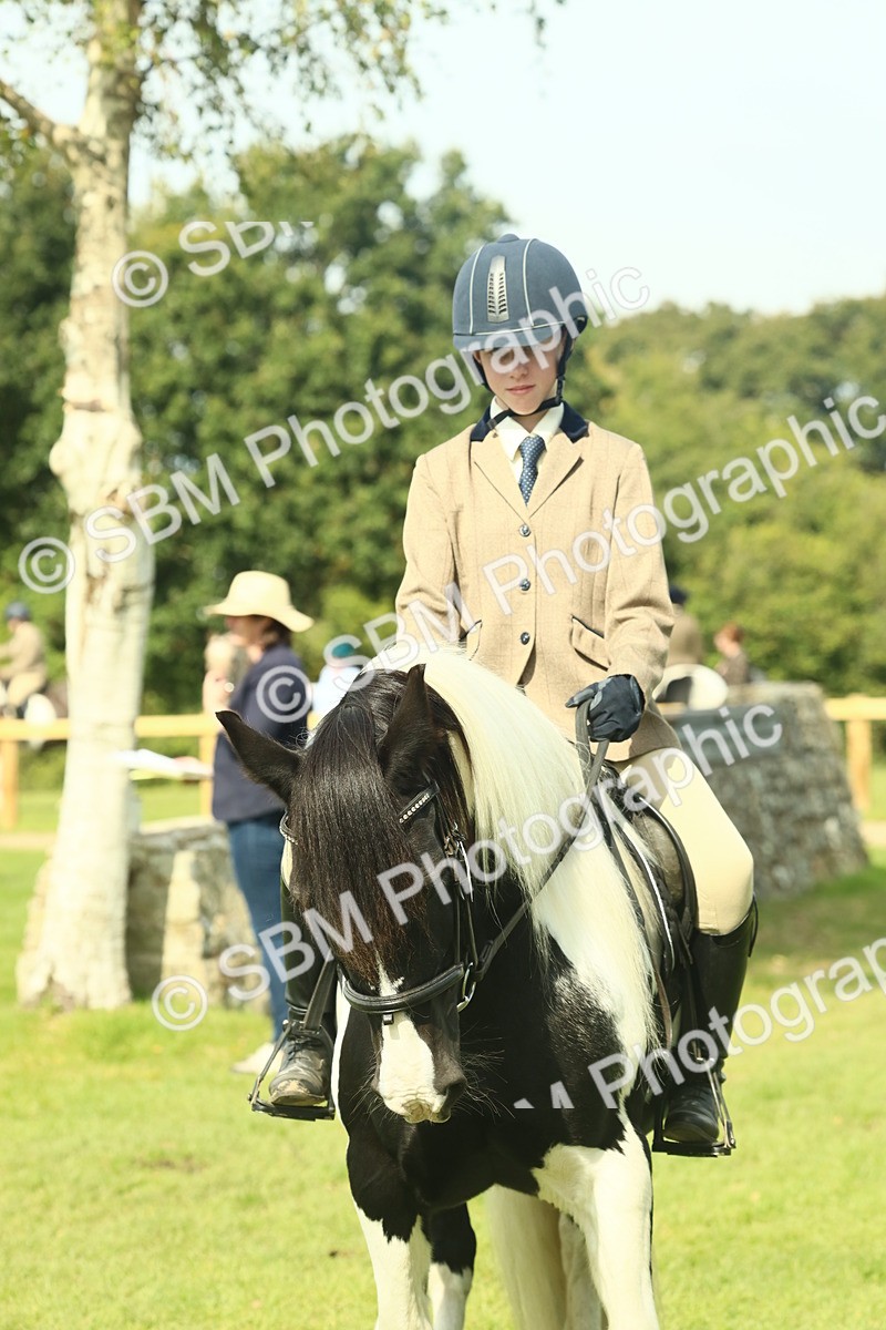 SBM_66662 - S34 - Rehabilitated Rescue Horse & Pony In Hand & Ridden