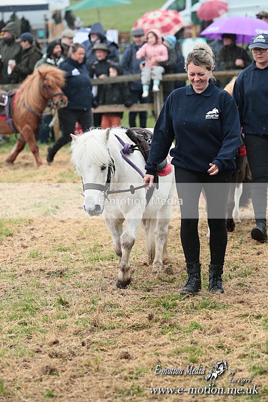 SHETPR 210425 37 - Shetland Ponies Paxford Races 21/04/25