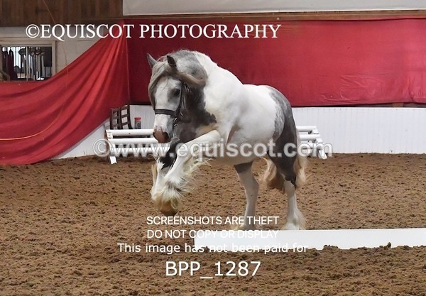 BPP_1287 - MORNING 9AM - 12PM