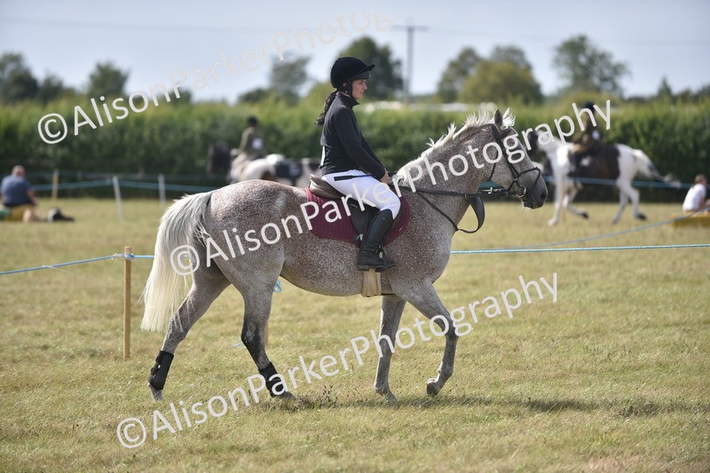 20260906-2696 - Class 13 - Working Hunter Horse or Pony
