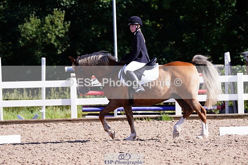 240809A-091222-00175 - Dressage Competition