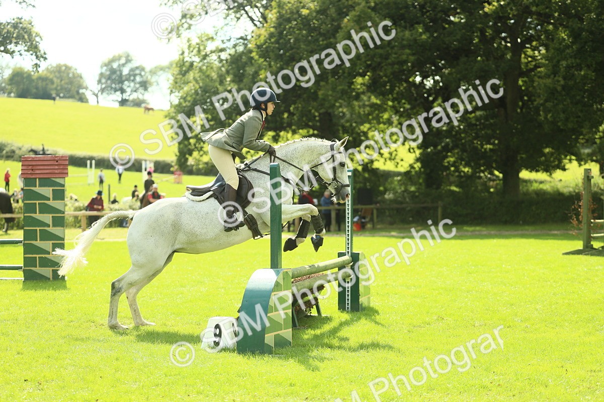 SBM_47920 - S32 - Novice & Newcomers Working Hunter