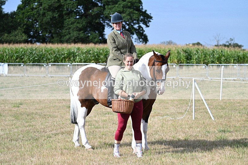 WJ7_2636 - Class 8 Ridden Tack & Turnout