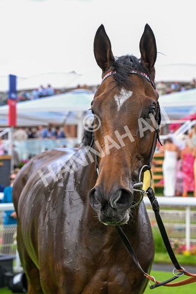 260725-Race 5-Beylerbeyi-0755 - Race 5 3.50pm Sky Bet, For The Fans Handicap