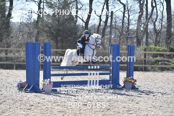 BPP_6185 - CLASS 8 SAT Pony BritiNovice / 0.80m Open