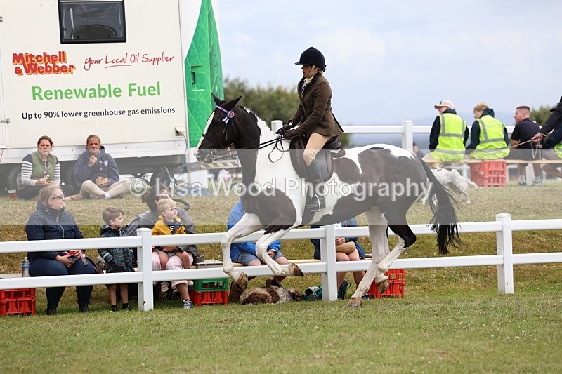 3E7A1033 - Class 8: Open Riding Horse/Hack