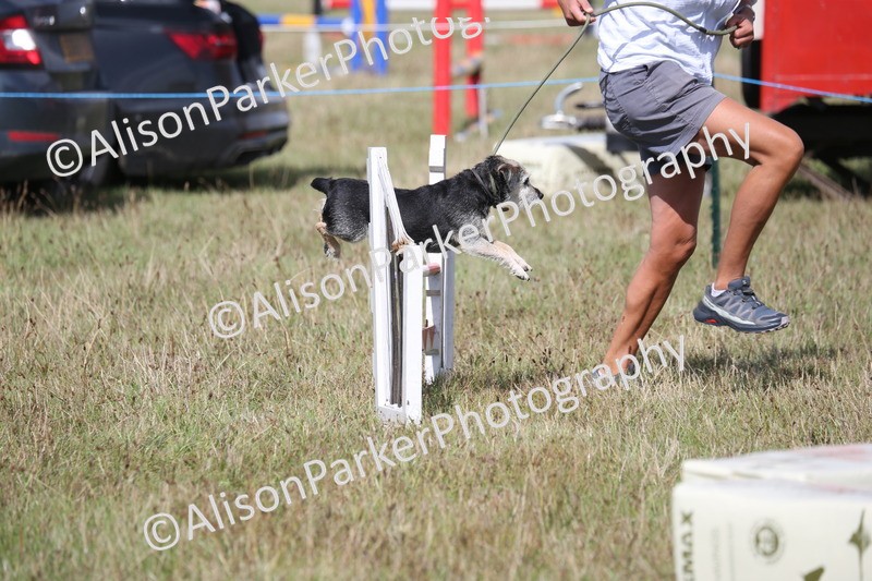 20260906-3400 - Class 34 - Dog Agility