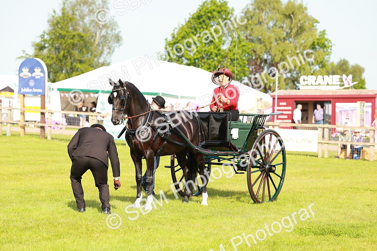 SBM_01193 - Class 2-4 - HOYS Private Driving