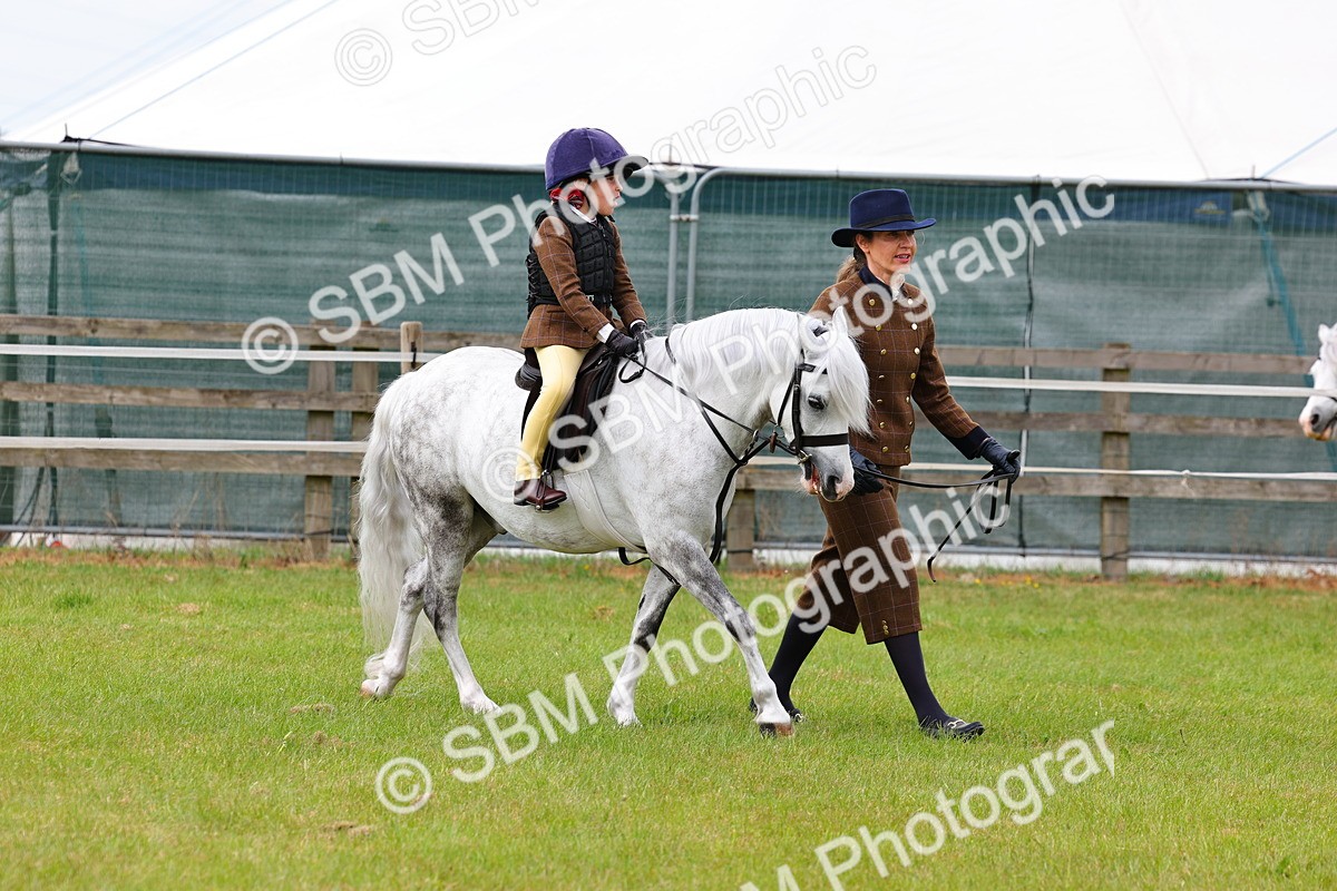 SBM_08275 - Class 42-43 - LIHS BSPS Heritage Working Sports Pony