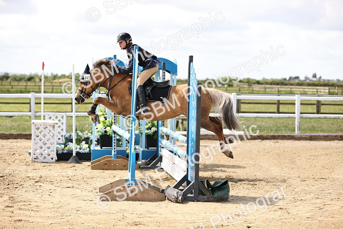SBM_007465 - Class 2 - 80cm showjumping