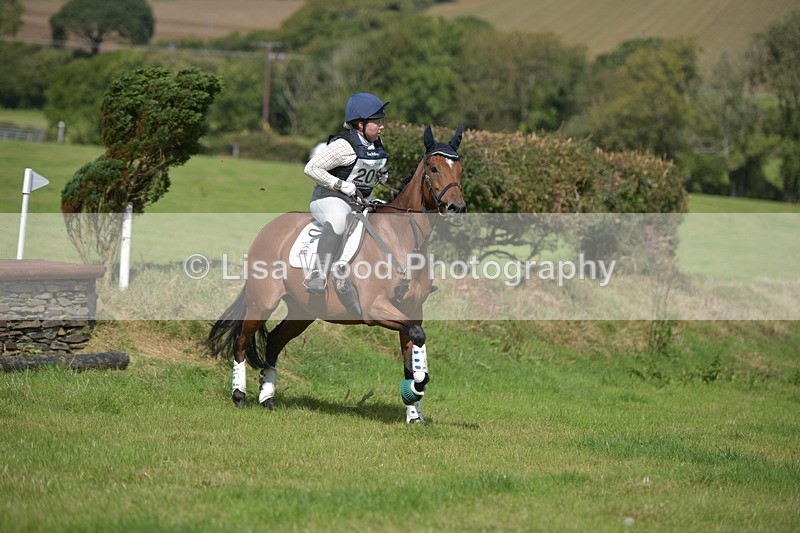 RAY_8566 - Class 2: Trekenning Open: Wall