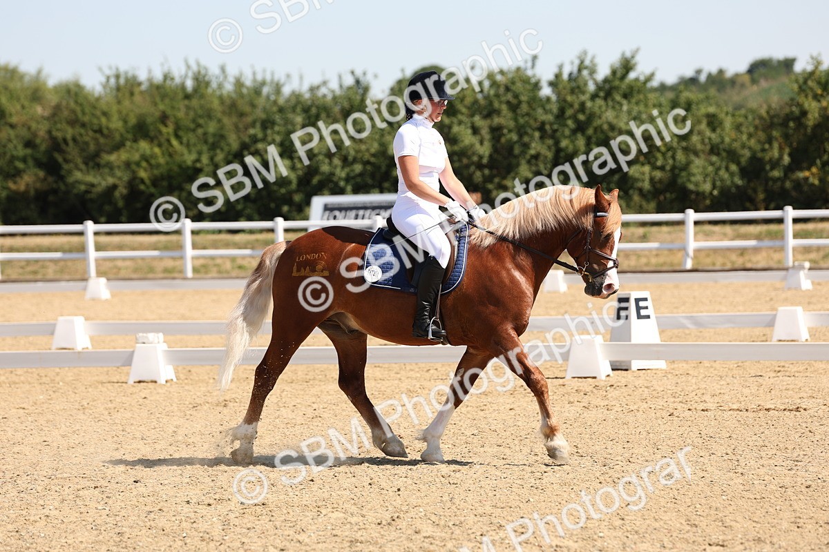 SBM_001078 - Intro 2