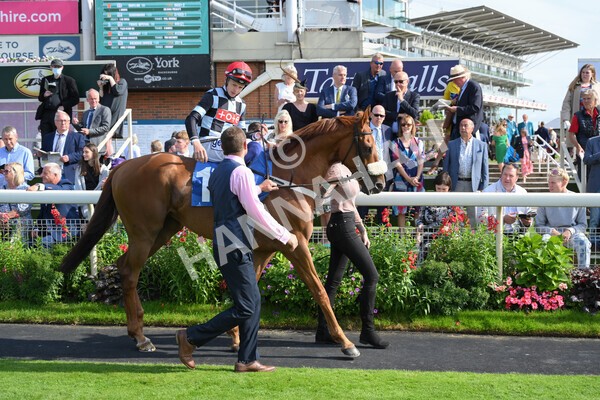 yr18082021r5-18 - Race 5 4.10pm Sky Bet Stakes