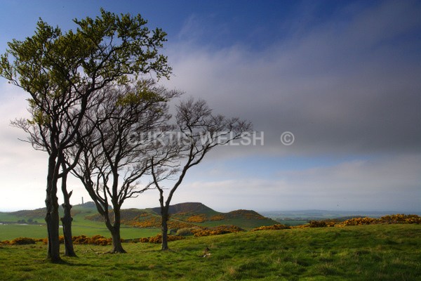 56 - EDINBURGH & LOTHIANS